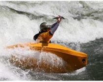 Fluid Nemesis Medium Ex-demo